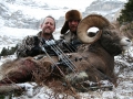 byron_sheep_05_070