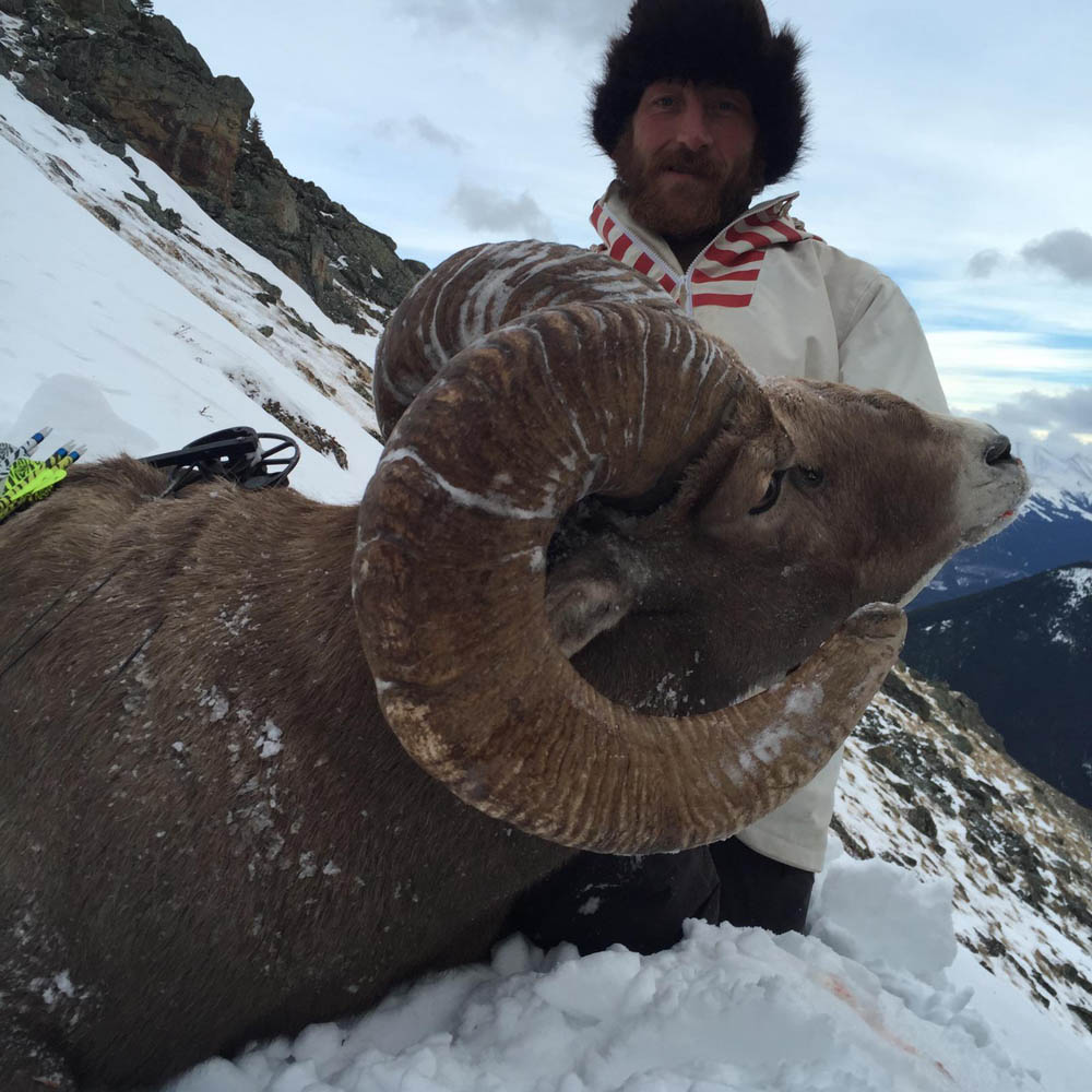 Sheep Hunt 2015